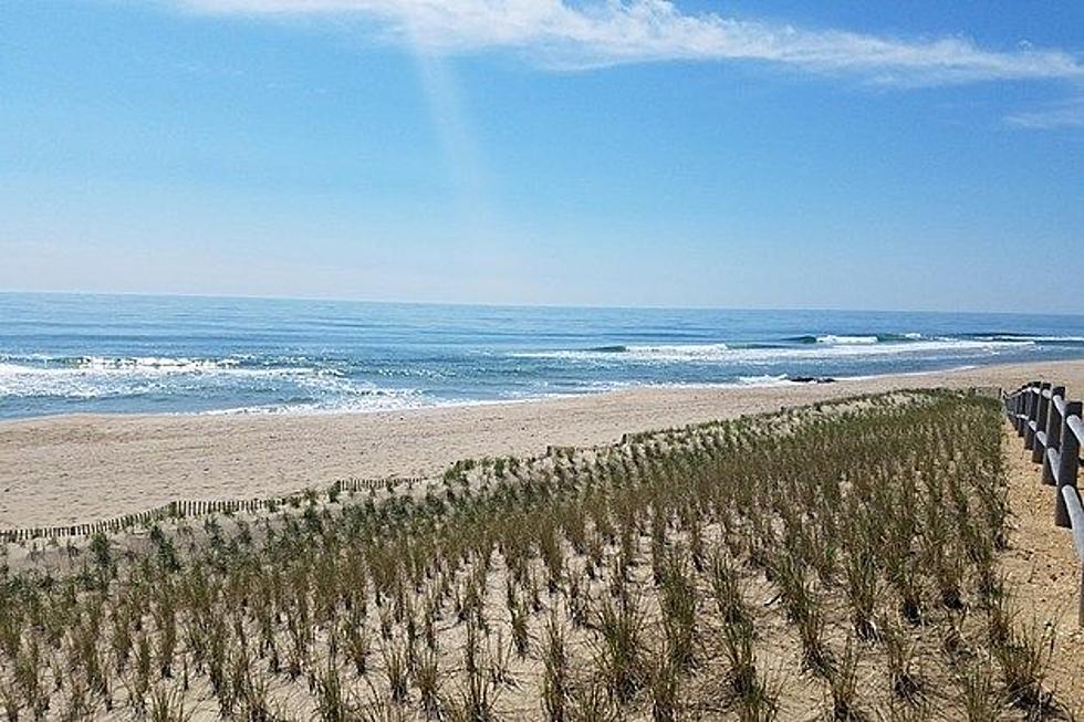 The beauty of LBI and Southern Ocean County, NJ await you this summer