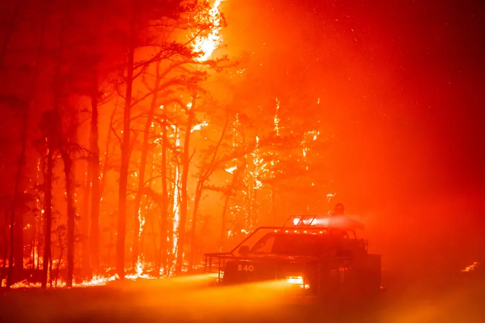 (Photo Courtesy: New Jersey DEP/Forest Fire Service)