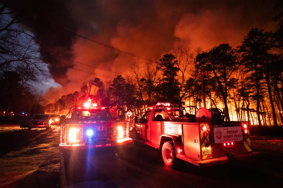 (Photo Courtesy: New Jersey DEP/Forest Fire Service)