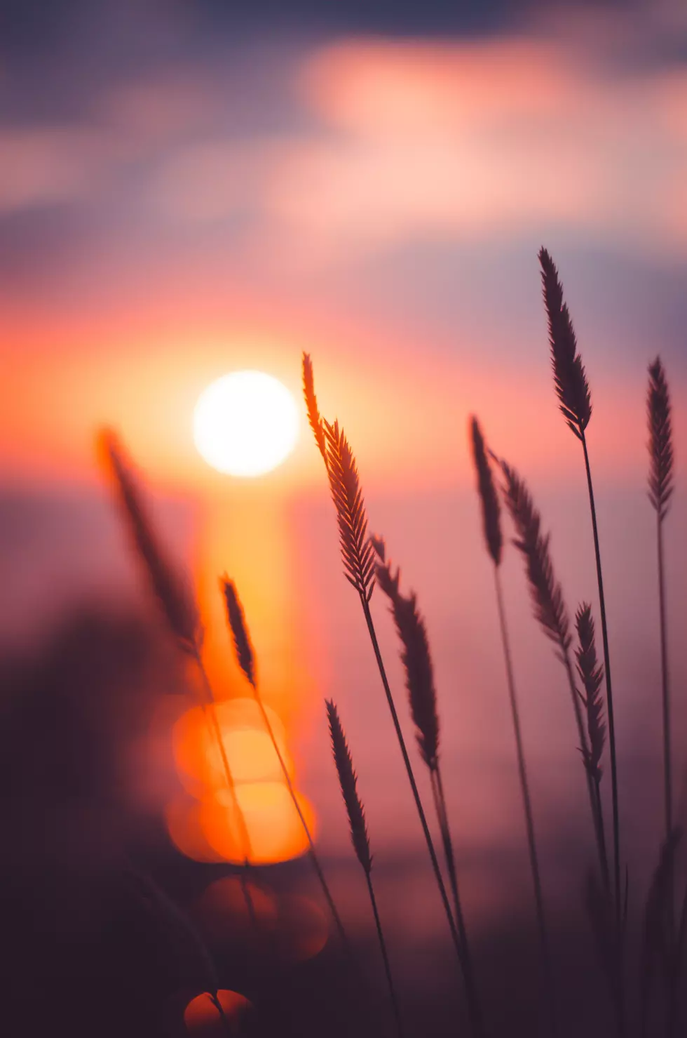 Unsplash.com Ann Savchenko