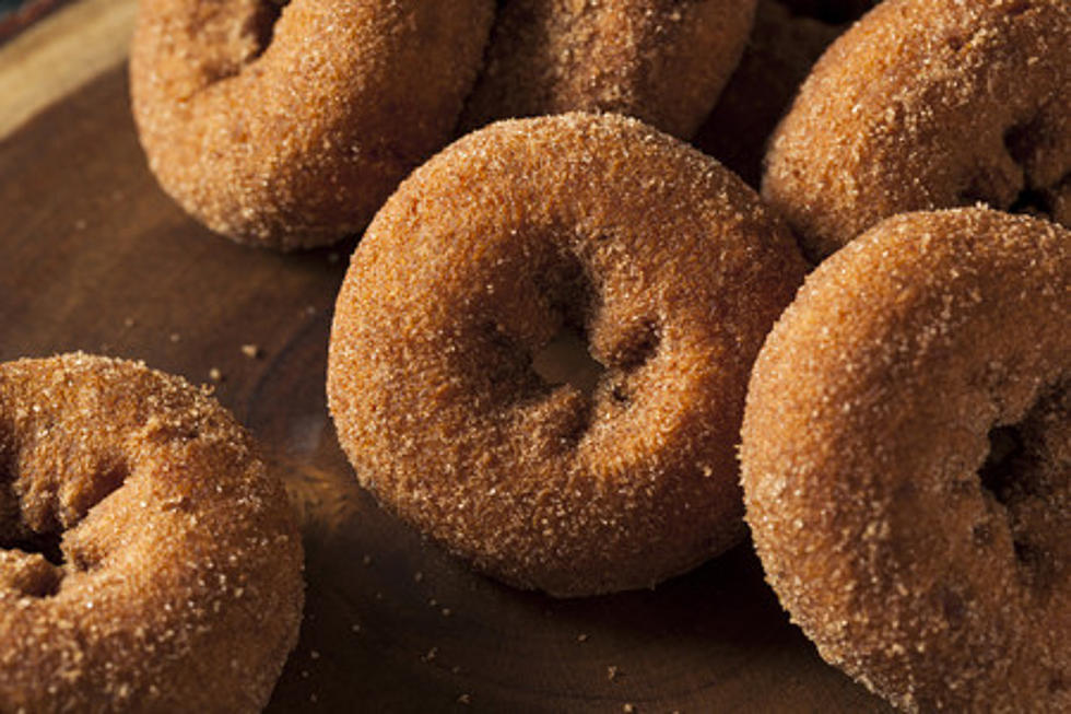 The “Best” Apple Cider Donut in New Jersey, Chosen By You