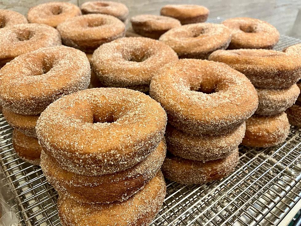 5 Delicious Spots for Apple Cider Donuts in New Jersey