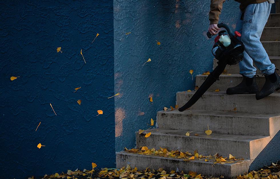 Where Do You Stand In The War Against Leaf Blowers In New Jersey?