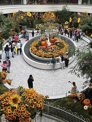 Exploring the Secret Garden and Atrium at the American Dream...