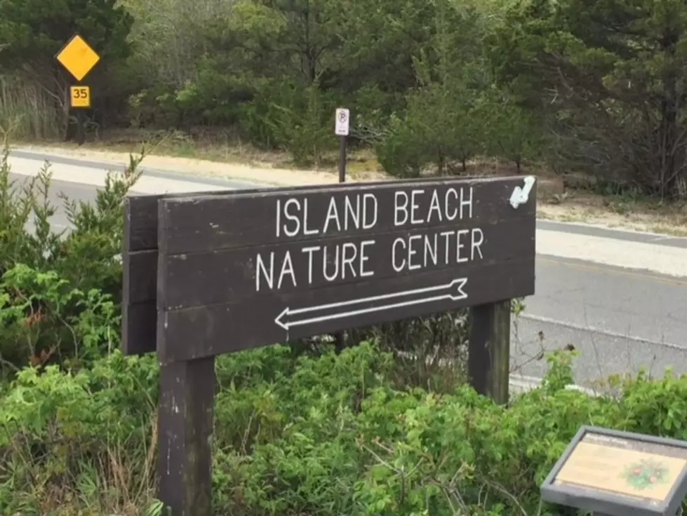 Island Beach State Park
