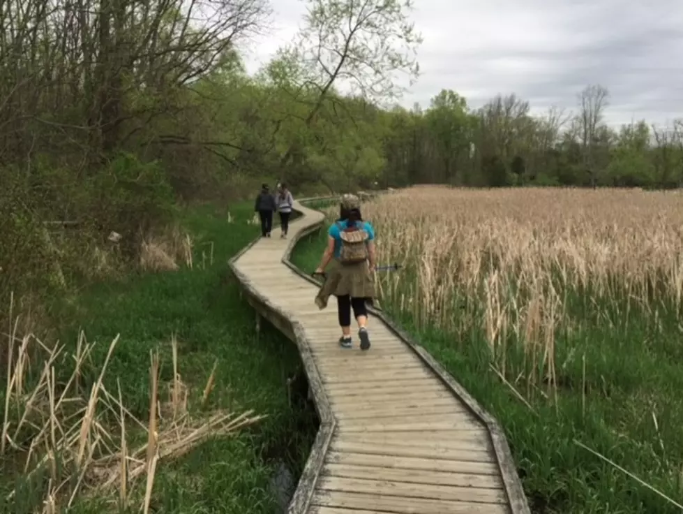 Hiking