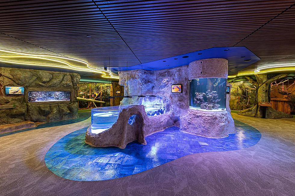 Jenkinson's Aquarium Just Added a Newly Renovated Second Floor