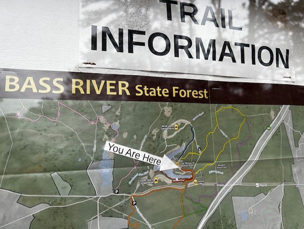 Hiking NJ: Bass River State Forest