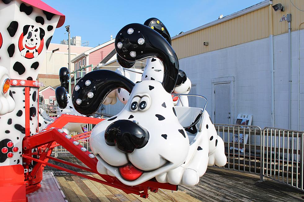 Kids Will Love this Brand New Adorable Ride at Jenkinson's 