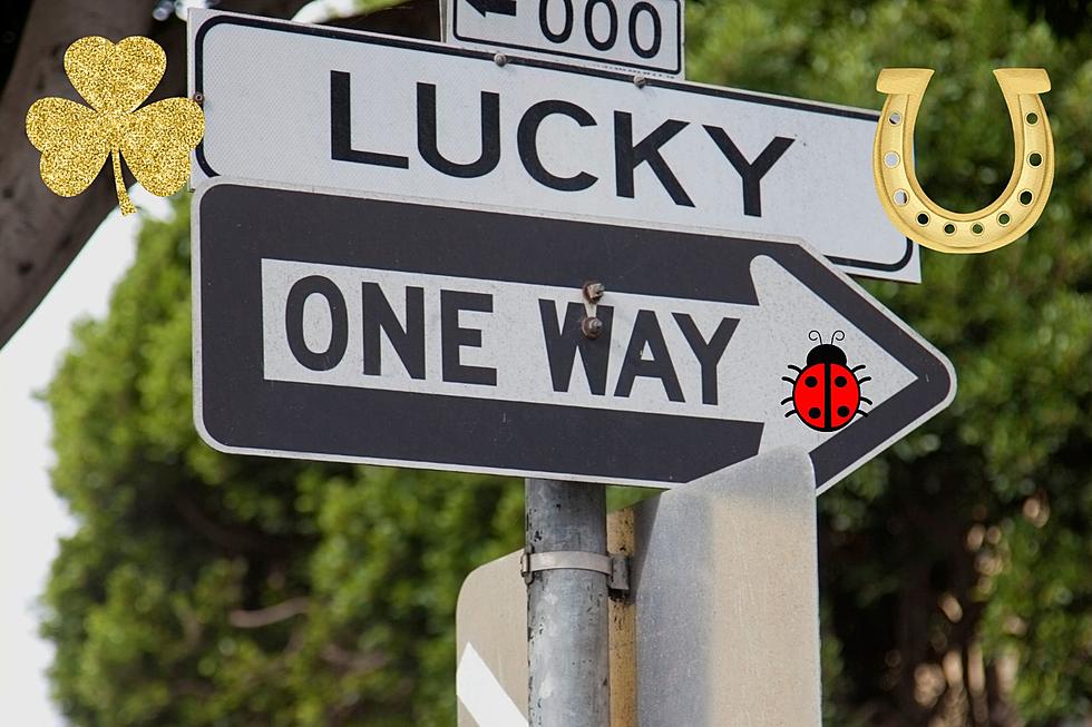 5 Good Luck Signs To Keep An Eye Out For&#x1f340;