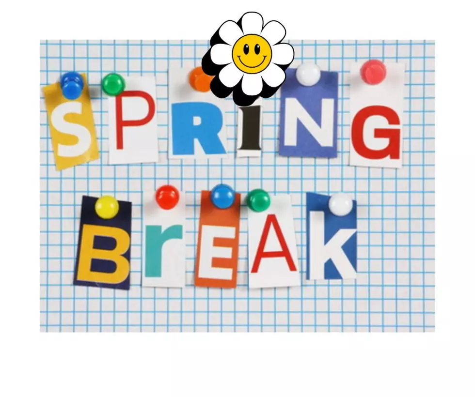 9 Super Fun New Jersey Staycation Ideas for Spring Break
