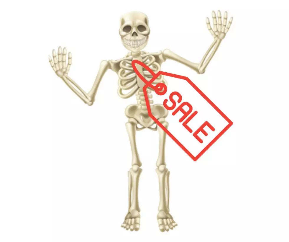 In New Jersey is it Legal to Buy or Sell Human Bones