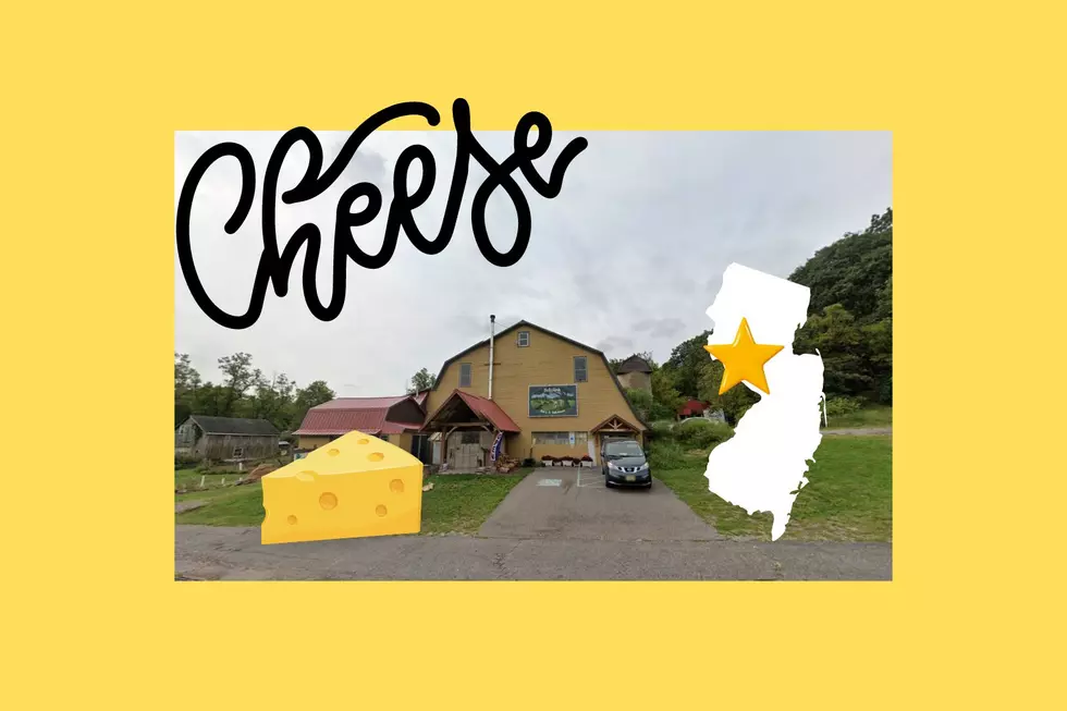 Cheese