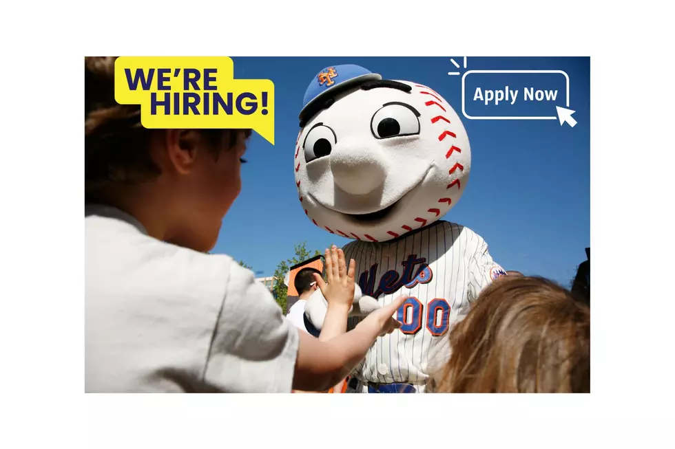 Help Wanted: Are You The Next Mr. Met? Apply Now!⚾