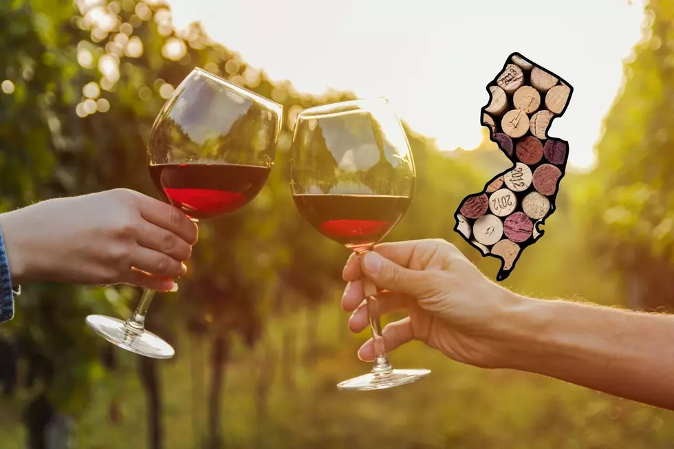 Complete guide to all 56 New Jersey winerieseries