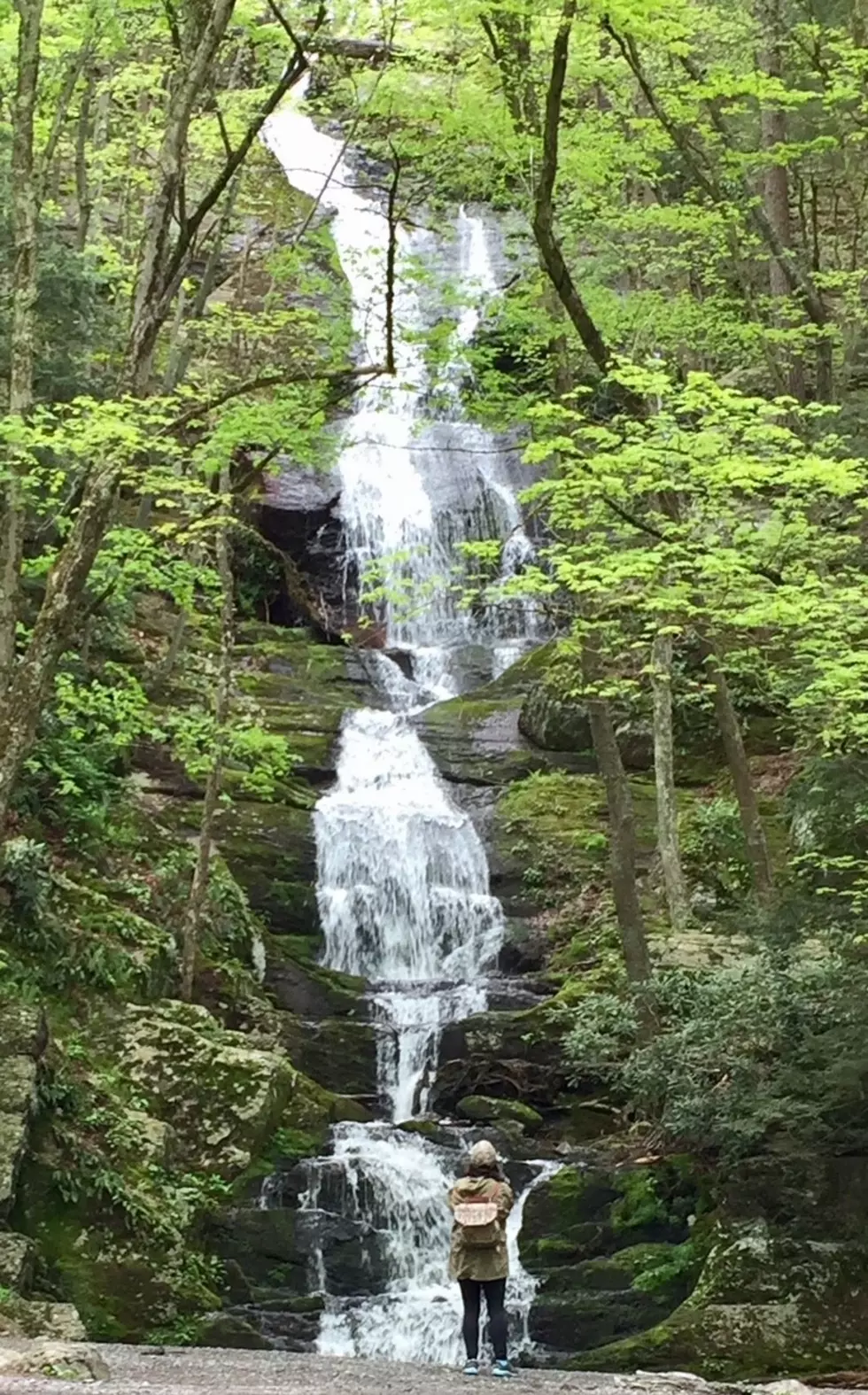 Buttermilk Falls, NJ