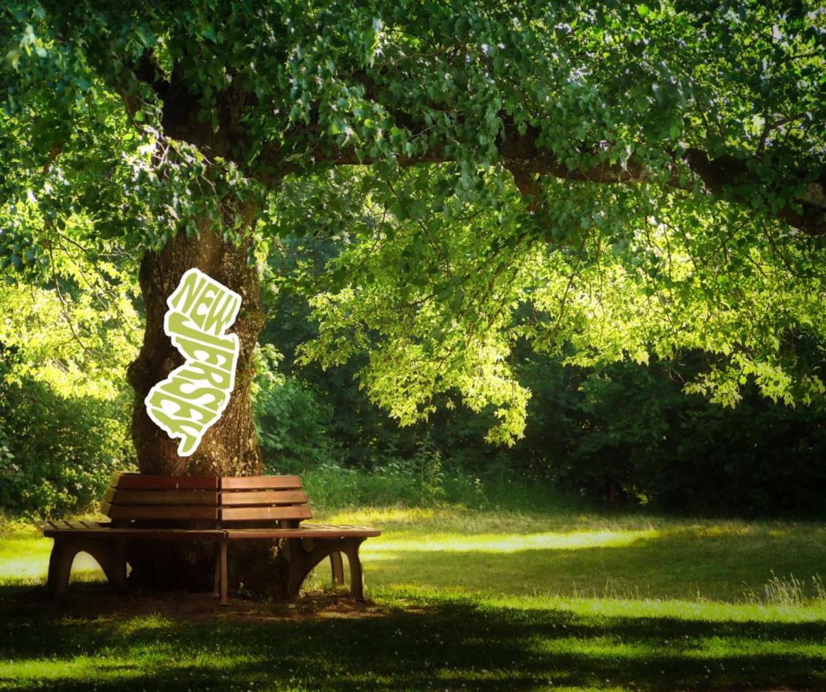 5 Best Hidden Gem Parks in NJ You Might Now Know are There