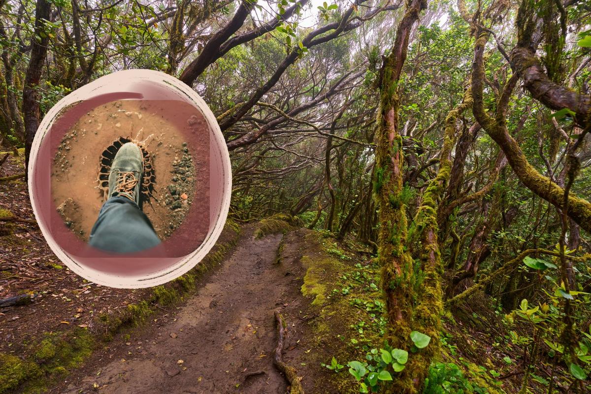 NJ Hiker Rescued After Getting Stuck in ‘Quicksand-Like’ Mud
