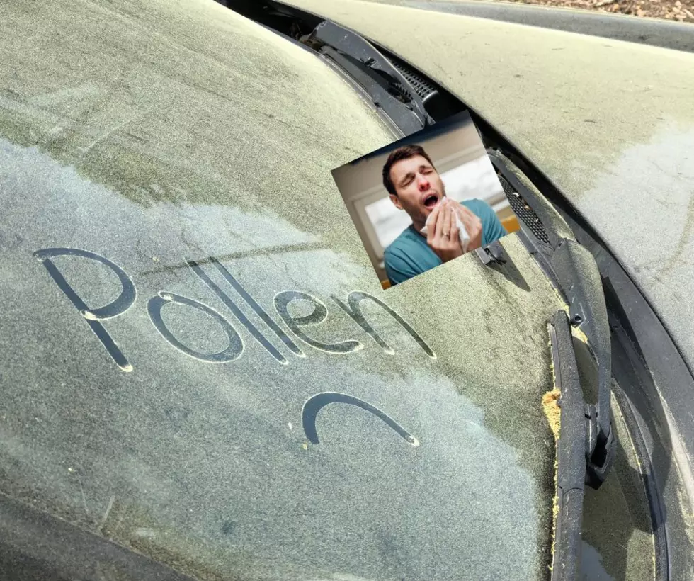 NJ Allergy Season Is Sneaking Up, Here&CloseCurlyQuote;s How To Stay Ahead 