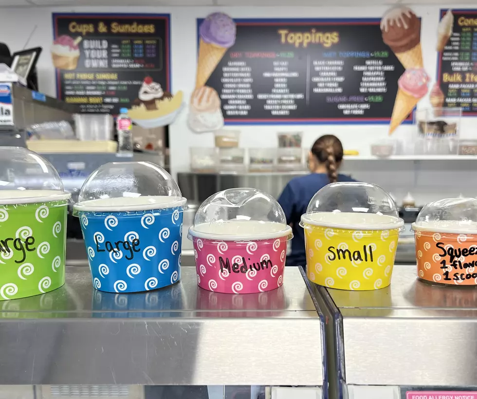 VOTE NOW: Jersey Shore Ice Cream Playoffs: Ryan’s Homemade Ice Cream