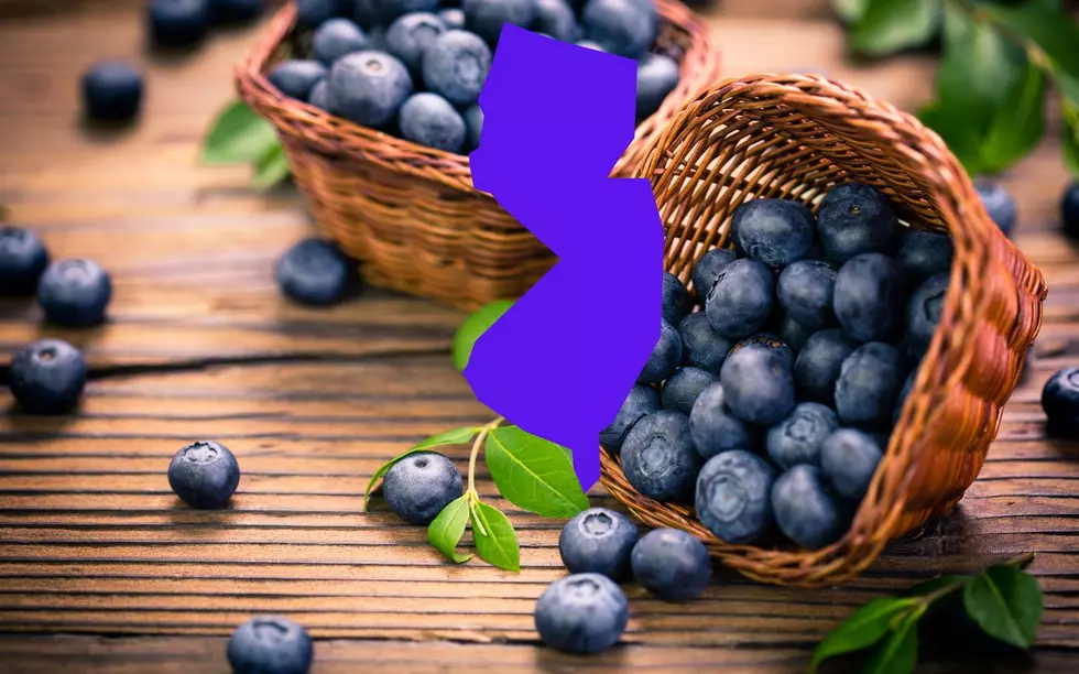 This New Jersey Town Is The Blueberry Capitol Of The World