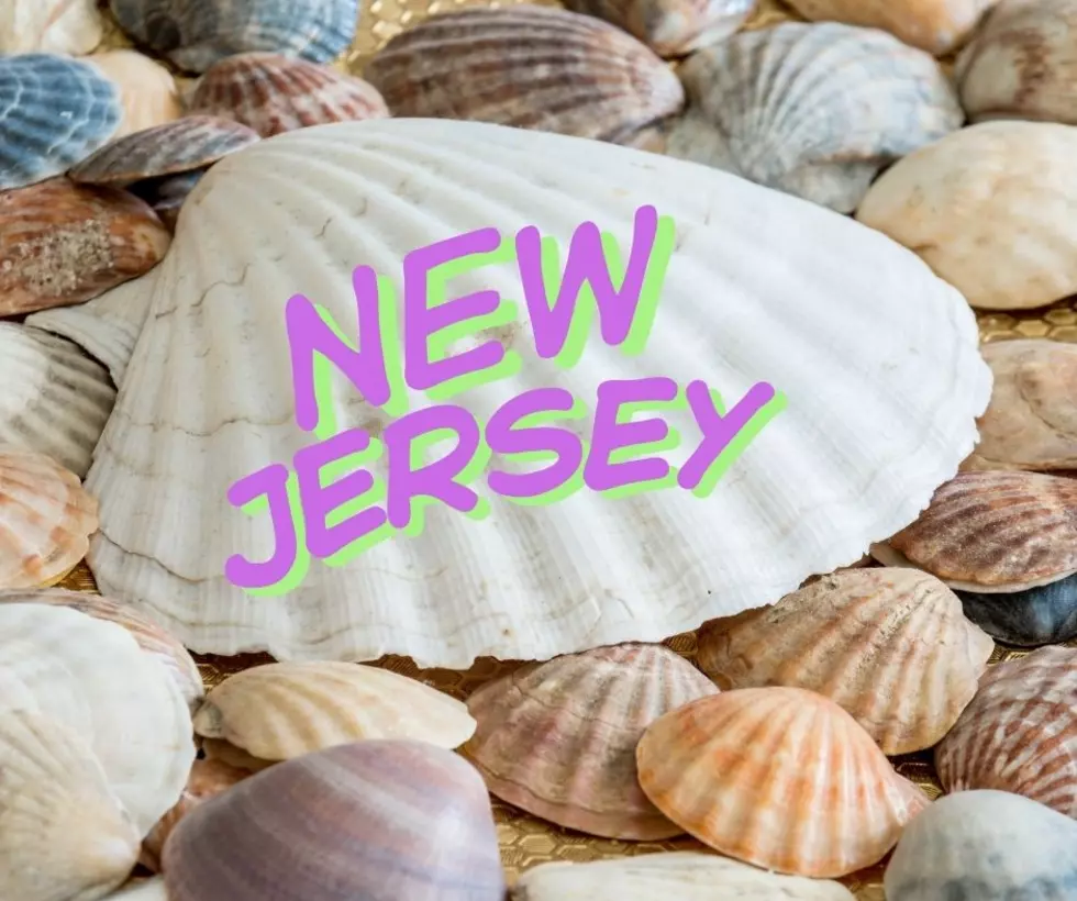 The Best New Jersey Beaches for Finding Beautiful Seashells All Year Long