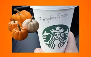 Pumpkin Returns To Starbucks For Fall 