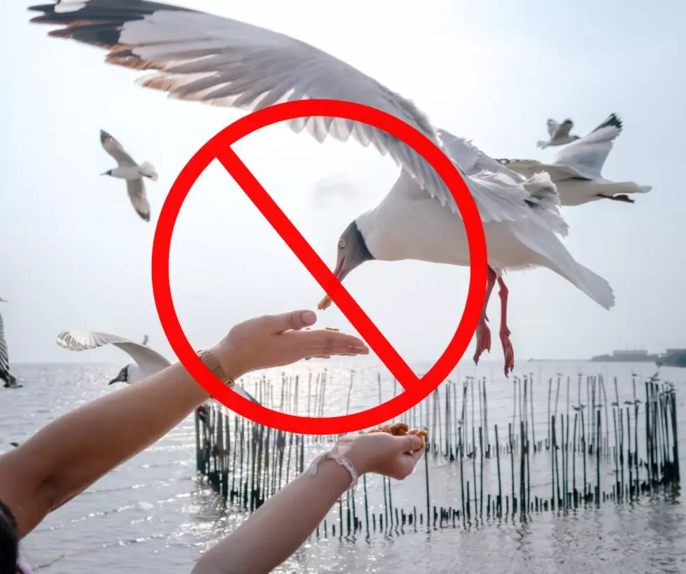 10 Weird Things That Can Get You in Trouble in New Jersey