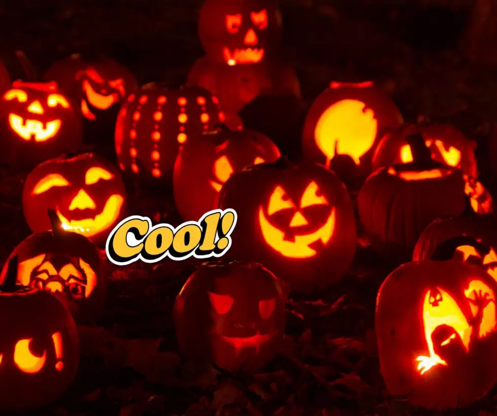 Hundreds of Glowing Pumpkins Will Light Up This New Jersey Farm This Fall
