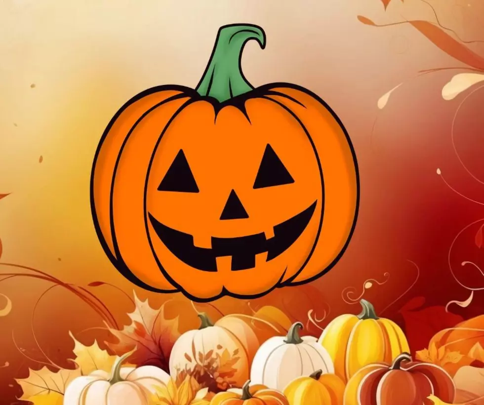 Pumpkins, Wine & Fall Fun: Stafford Township’s 2026 Festival Is Calling!