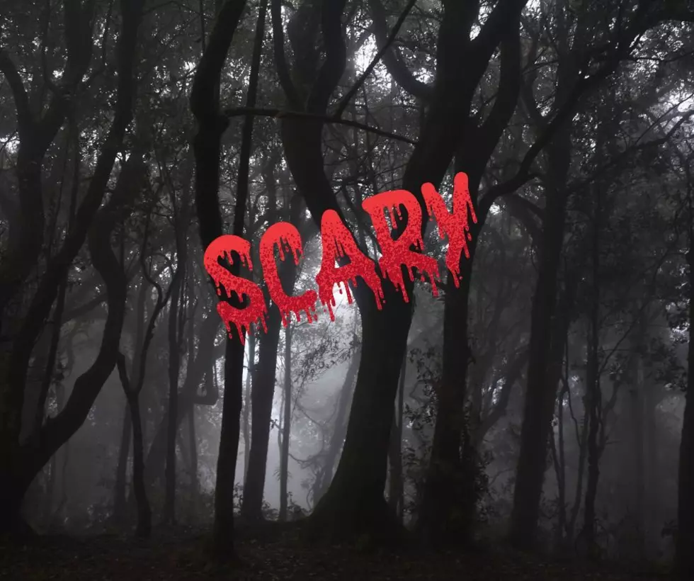 This Is My Favorite Haunted Hayride in New Jersey!