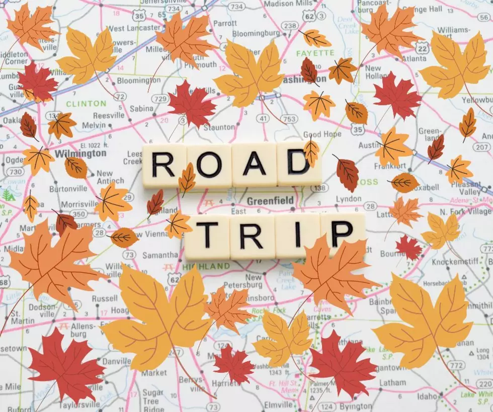 Hop In the Car! Take This Ultimate New Jersey Fall Foliage Drive
