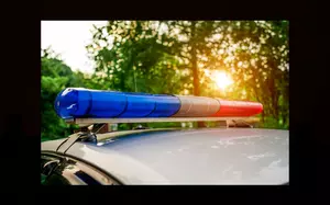 Man Has Ear Bitten Off In Point Pleasant Beach