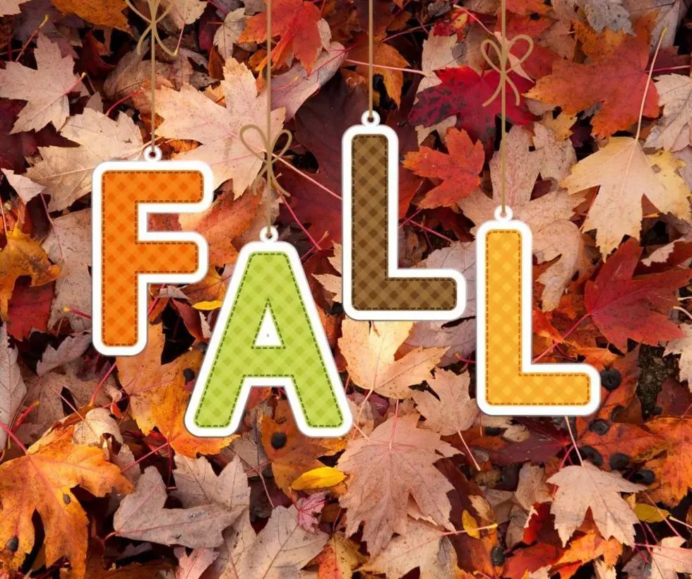 Pumpkins, Flannels & Flip-Flops: Are You a Jersey Shore Fall Person?
