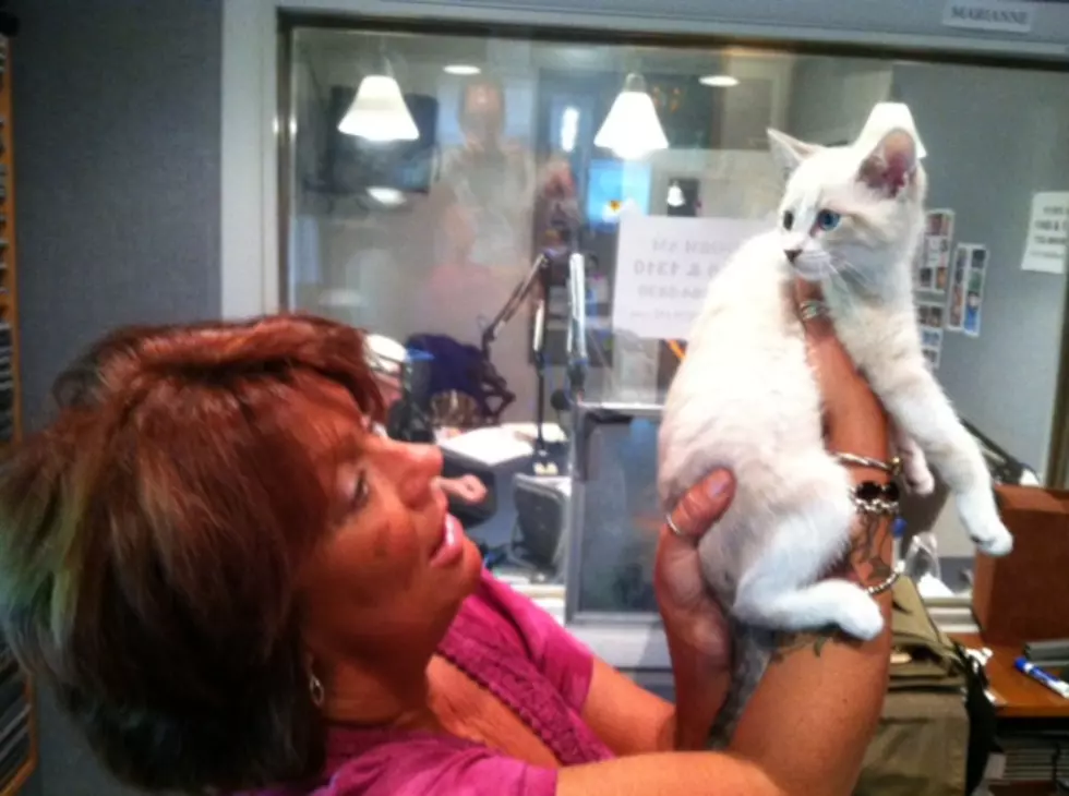 Monmouth County SPCA Stops by Bob & Marianne in the Morning