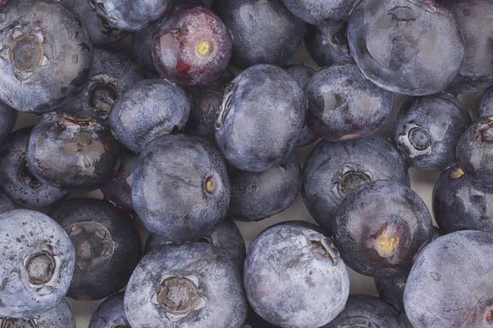 Best places to pick your own NJ blueberries