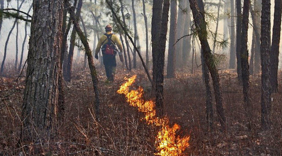 Smoke in the air? How to tell if it&#8217;s a budding wildfire, and what to do