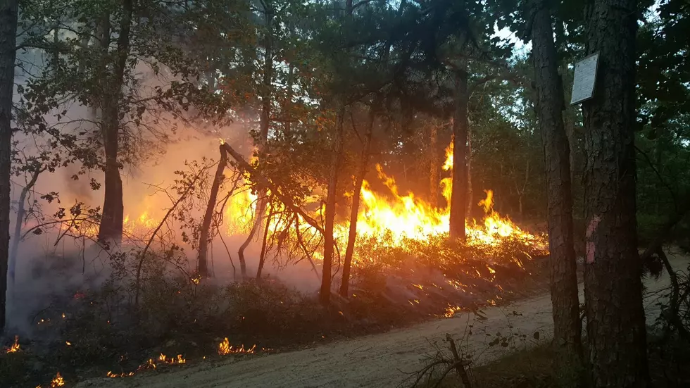 Fire burns over 3,000 acres in South Jersey forest
