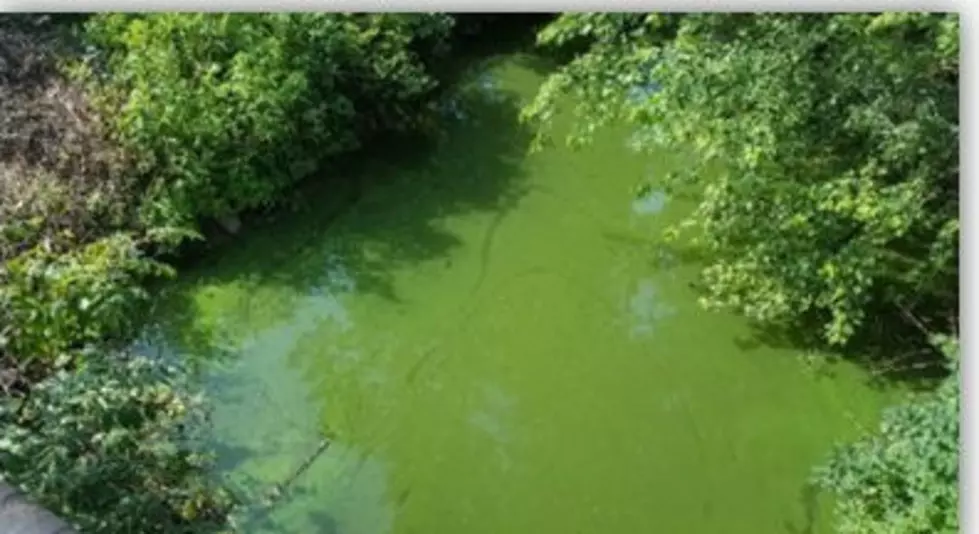 Shore lakes among 9 in NJ with harmful algae so far, say environmental officials
