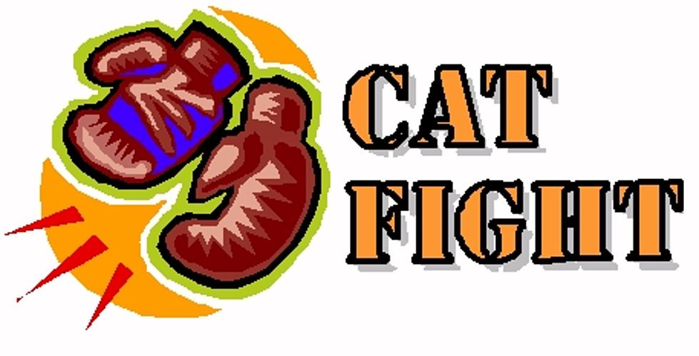 Cat Fight: Alison Krauss and Union Station versus Phil Vassar [POLL]