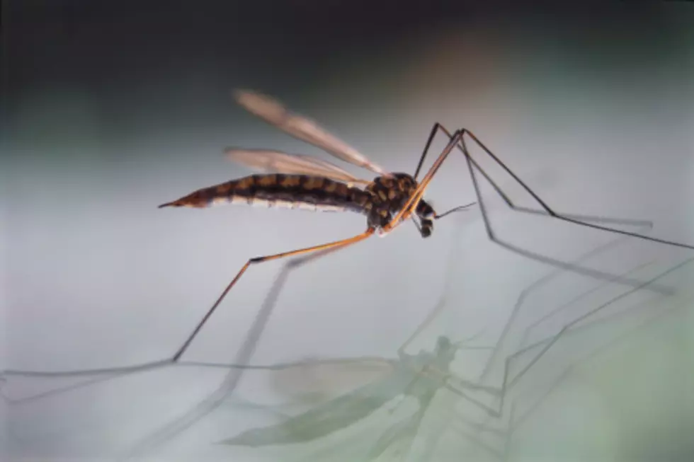 Local Officials Confirm Another Case of West Nile Virus