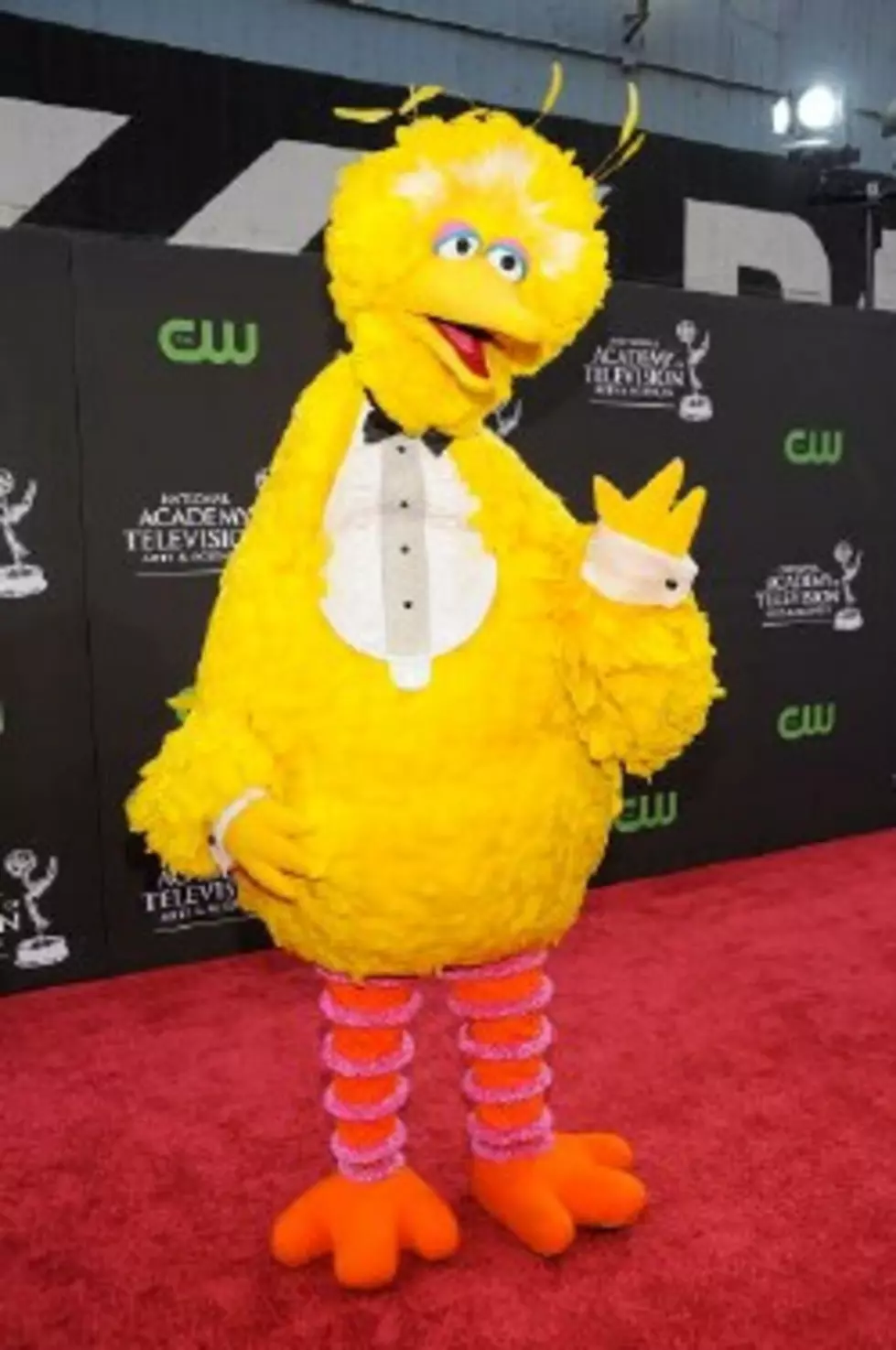 How SNL Landed Big Bird