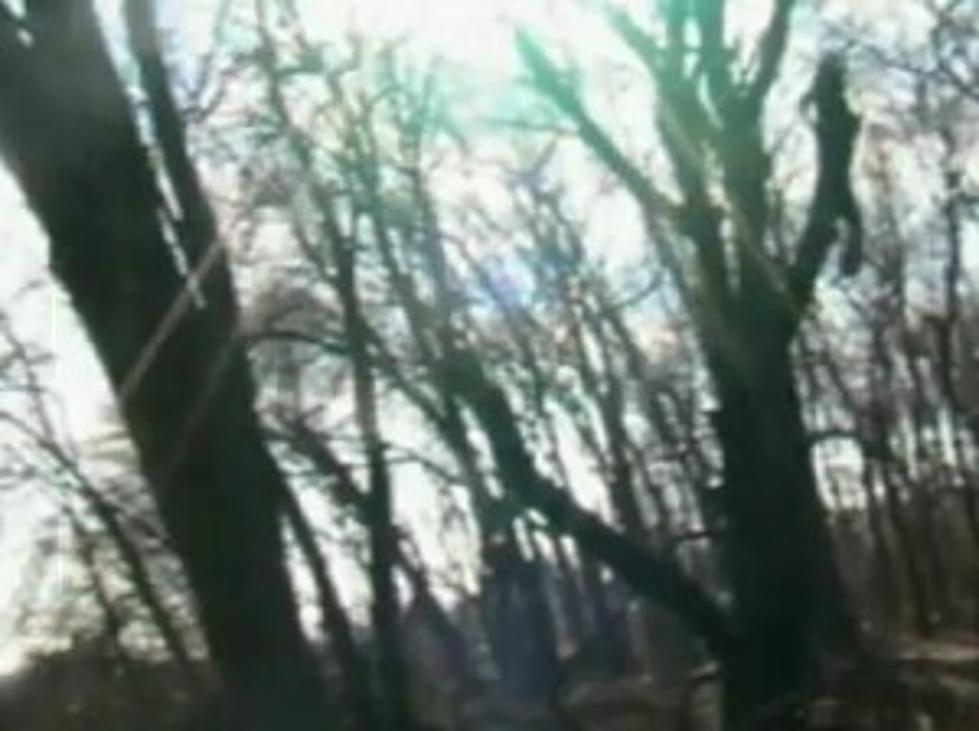 Has Bigfoot Been Spotted in South Jersey?