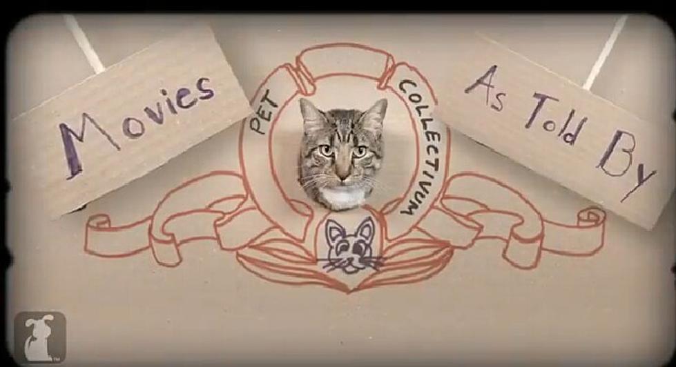 CATniss Video of ‘The Hunger Games’ [VIDEO]