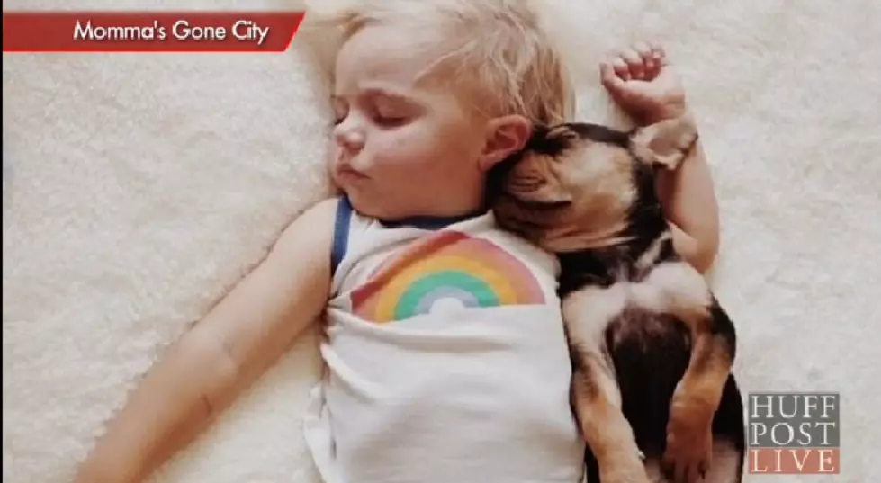 Sweet Baby Beau and His Puppy Theo&#8217;s Nap-Time [VIDEO]