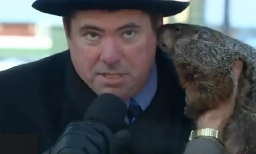 Musical Salute to Groundhog Day [VIDEO]