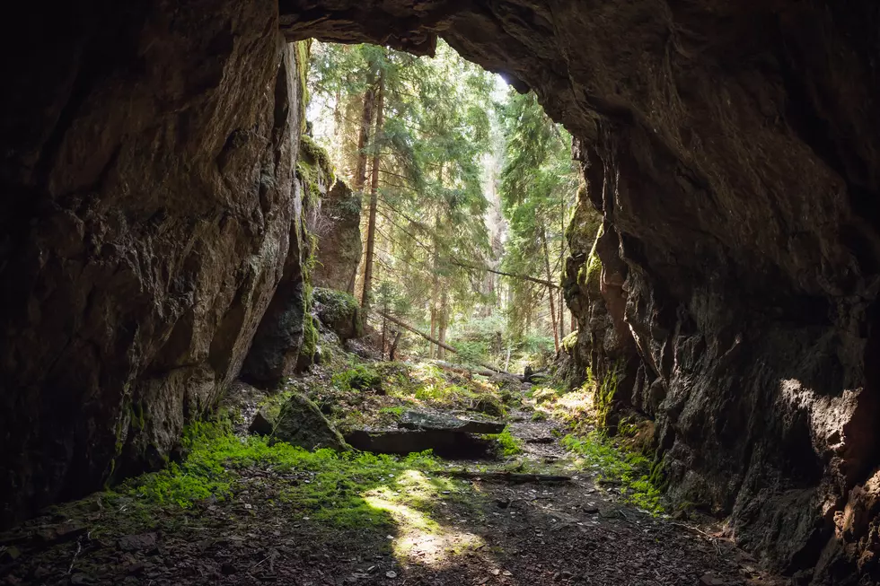 Spooky Jersey Hiking Trails 