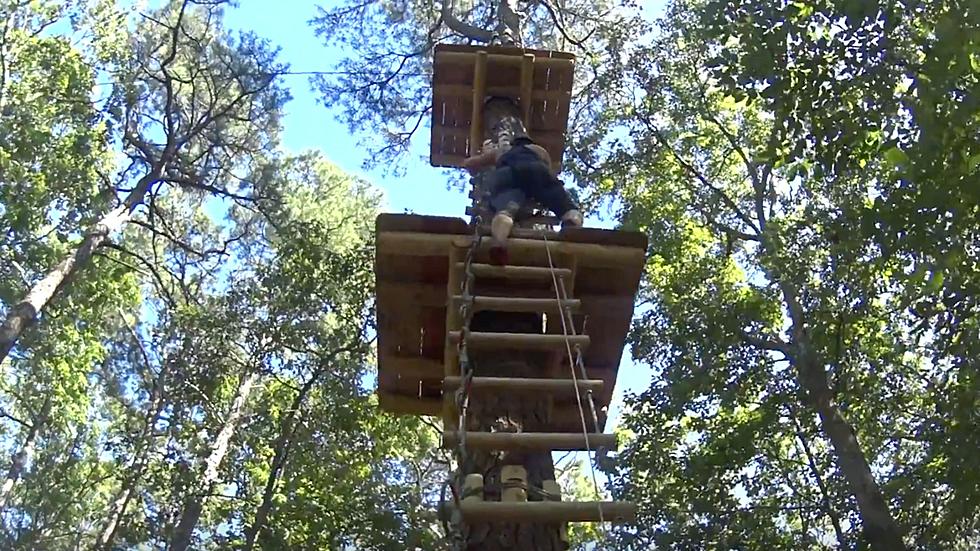 Georgia’s Tree to Tree Adventure at The Cape May County Zoo [WATCH]