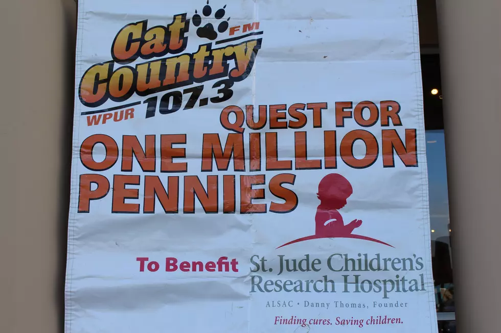 Cat’s Quest for One Million Pennies Rolls On