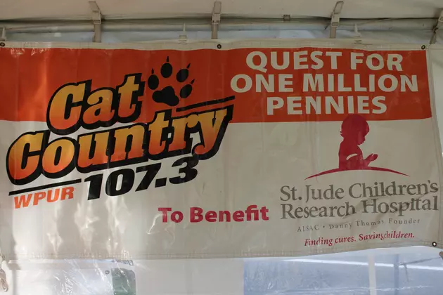 Cat Country Saves Lives One Penny at a Time